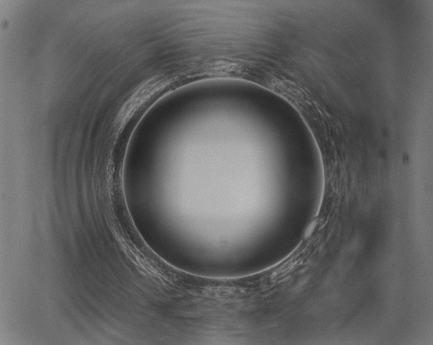 X0000062850242200601131357