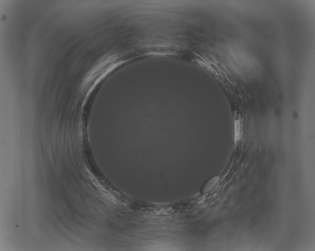 X0000062850243200601131357