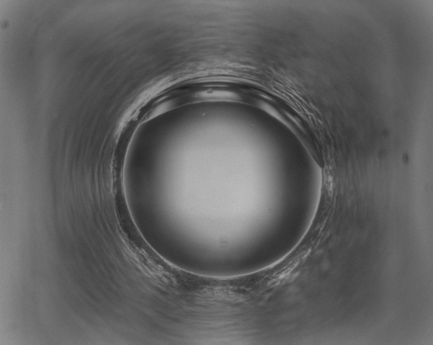 X0000062850244200601131357