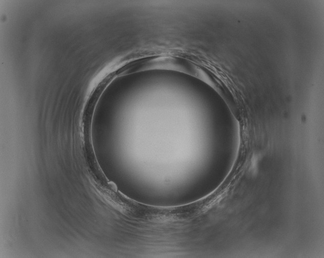 X0000062850246200601131357