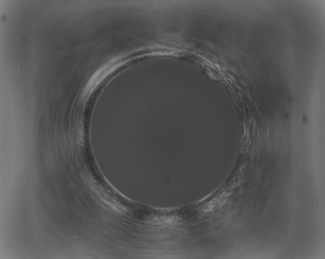 X0000062850247200601131357