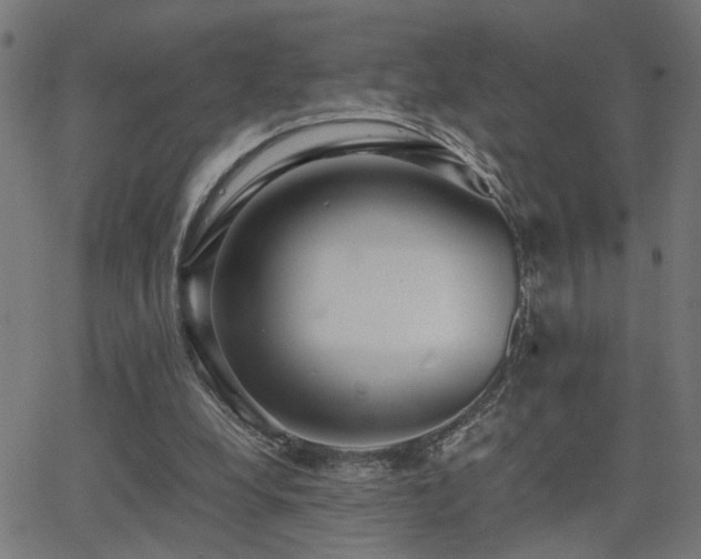 X0000062850248200601131357