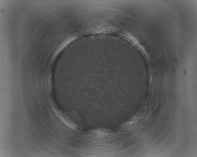 X0000062850250200601131357