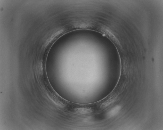 X0000062850251200601131357