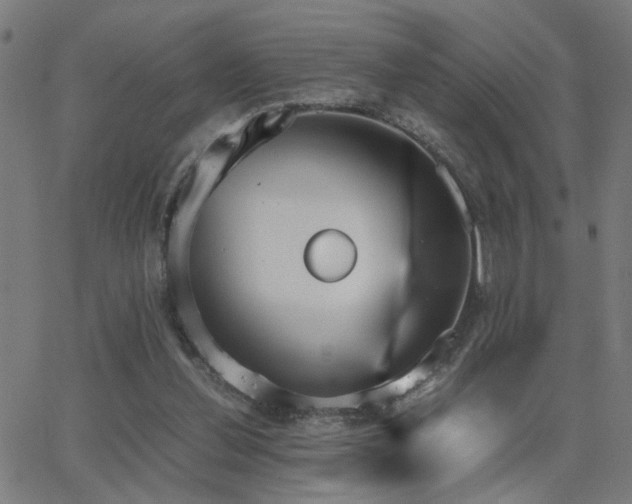 X0000062850252200601131357