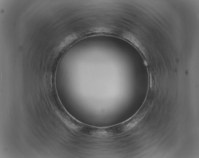 X0000062850253200601131357