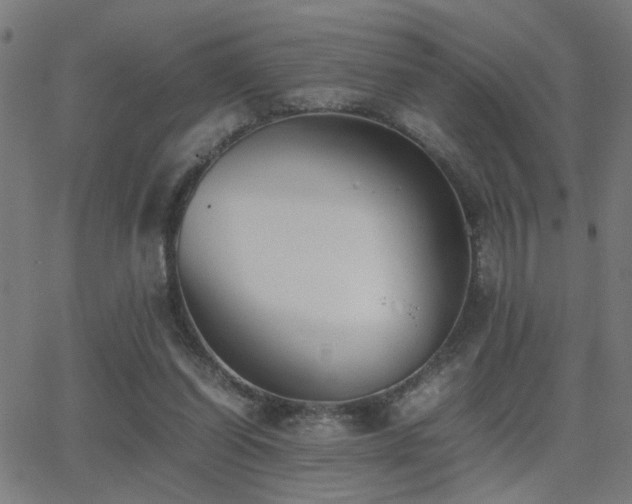 X0000062850254200601131357