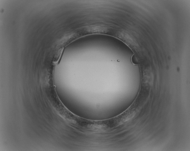 X0000062850255200601131357