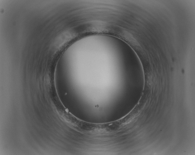 X0000062850256200601131357