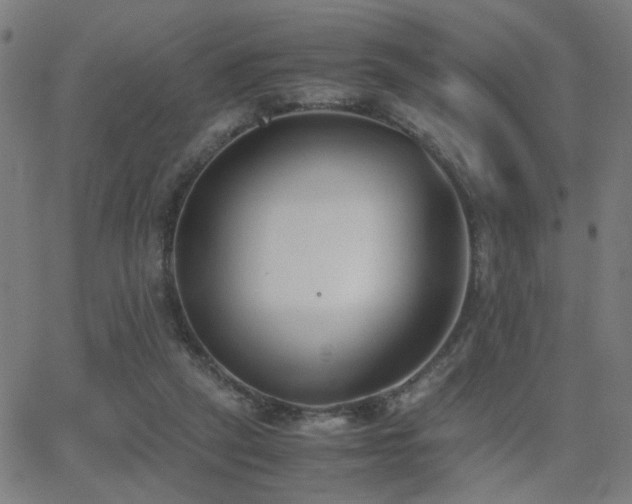 X0000062850257200601131357