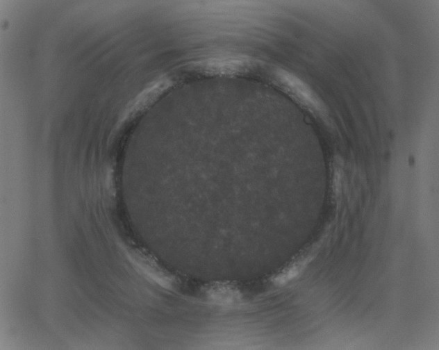 X0000062850258200601131357