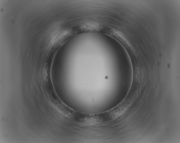 X0000062850259200601131357