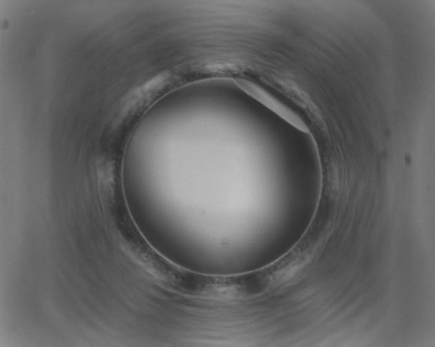 X0000062850260200601131357