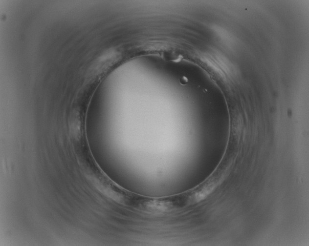 X0000062850261200601131357