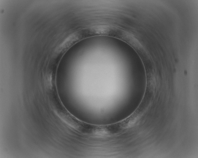 X0000062850262200601131357