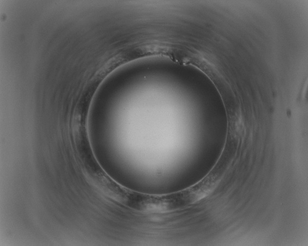 X0000062850263200601131357