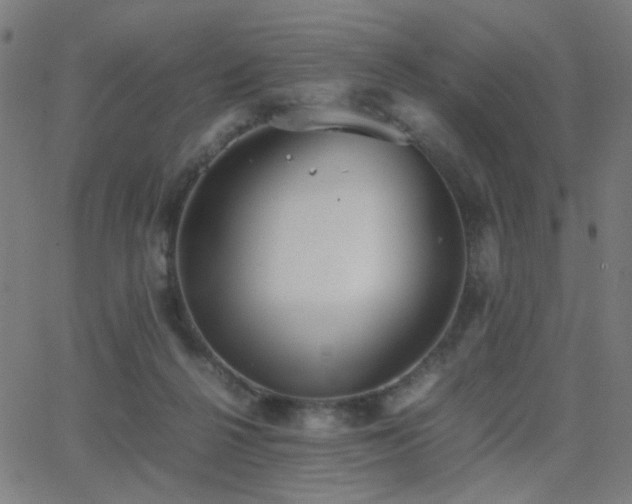 X0000062850264200601131357