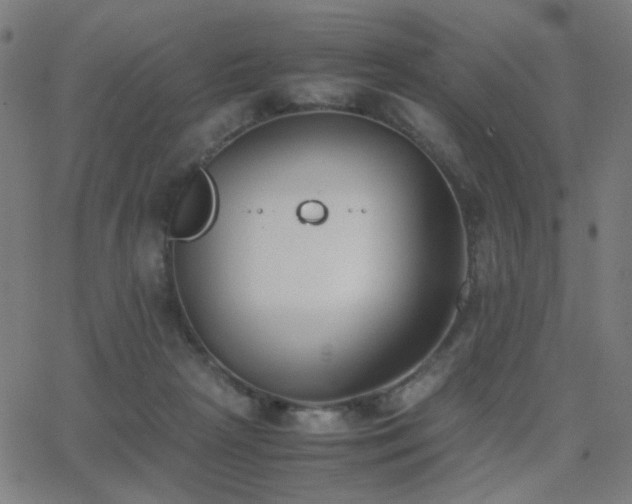 X0000062850265200601131357