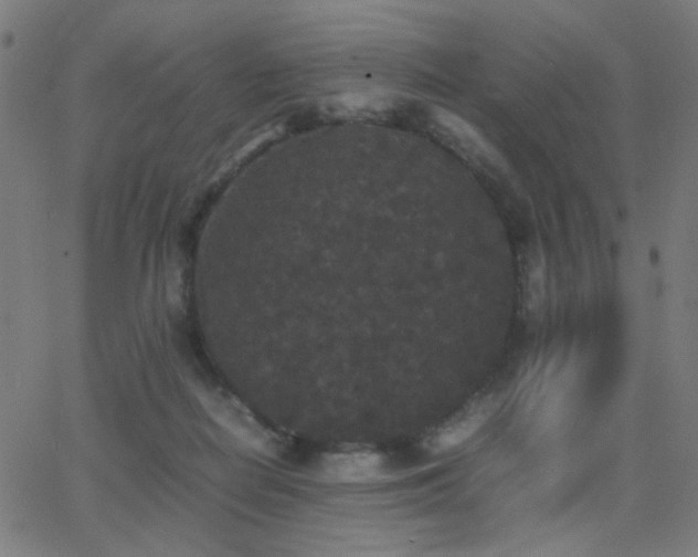 X0000062850266200601131357