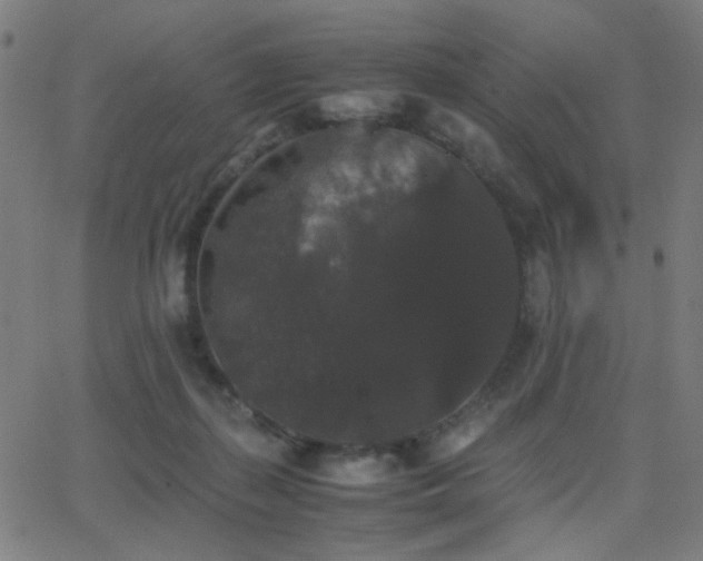 X0000062850267200601131357