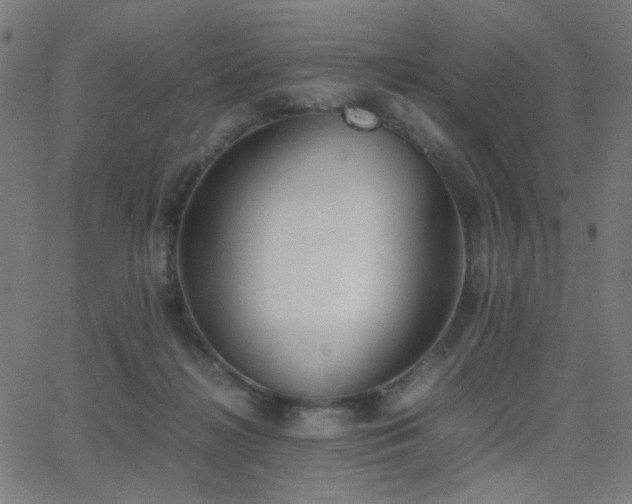 X0000062850268200601131357