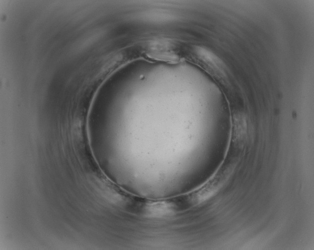 X0000062850269200601131357