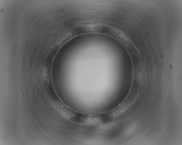 X0000062850270200601131357