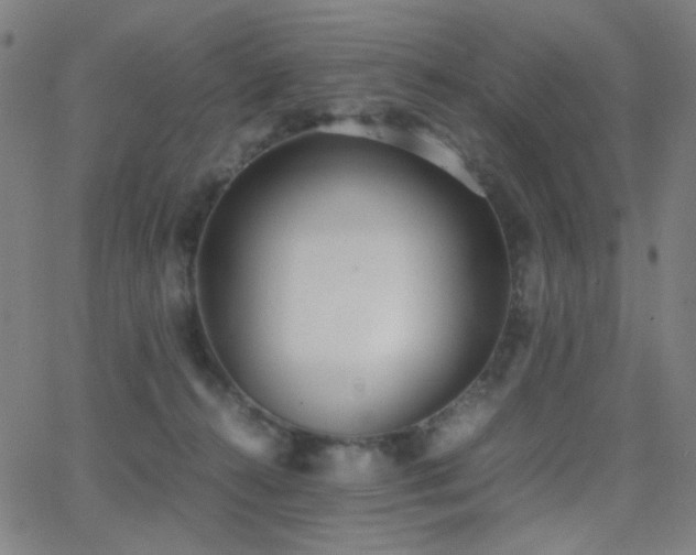 X0000062850272200601131357