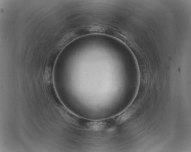 X0000062850273200601131357