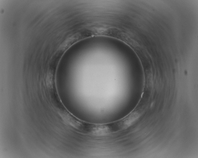 X0000062850274200601131357