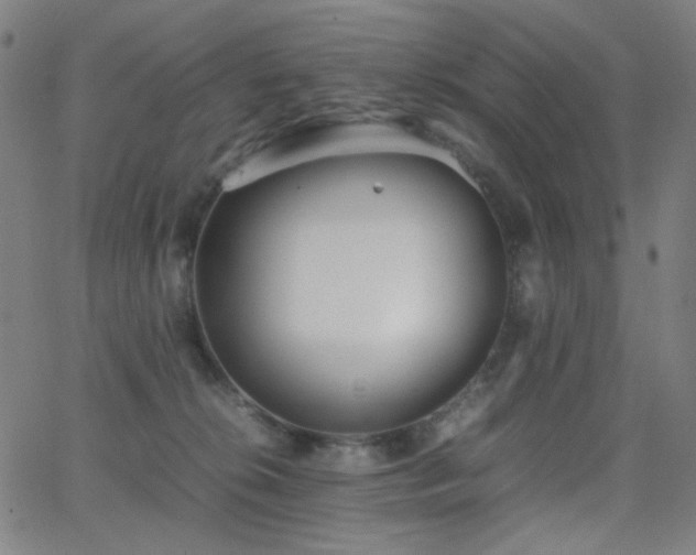 X0000062850276200601131357