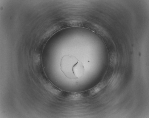 X0000062850278200601131357