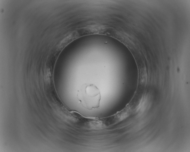 X0000062850279200601131357