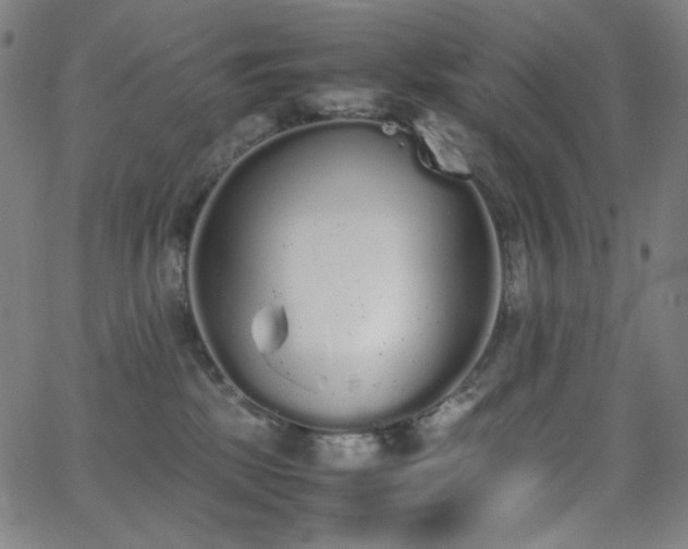 X0000062850281200601131357