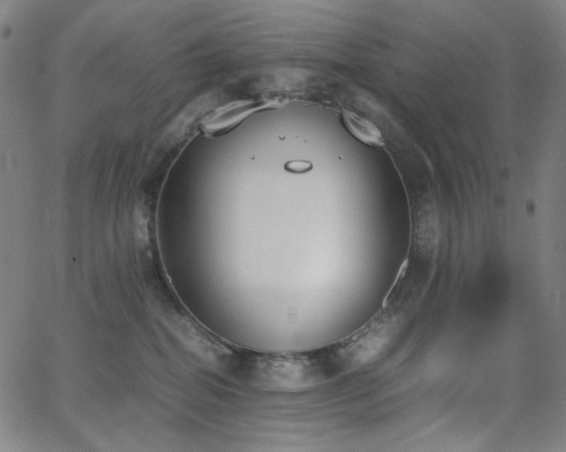 X0000062850282200601131358