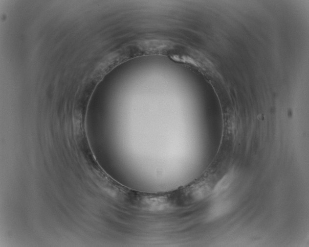 X0000062850283200601131358