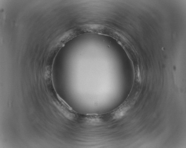 X0000062850284200601131358