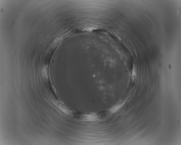 X0000062850286200601131358