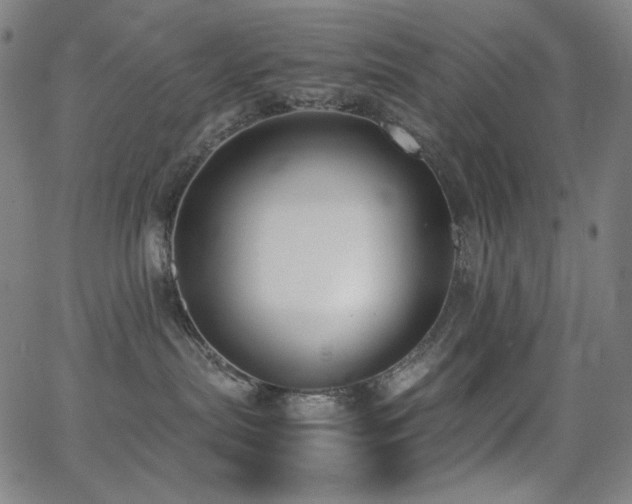 X0000062850287200601131358