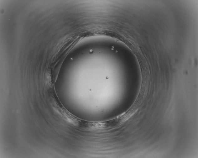 X0000062850288200601131358