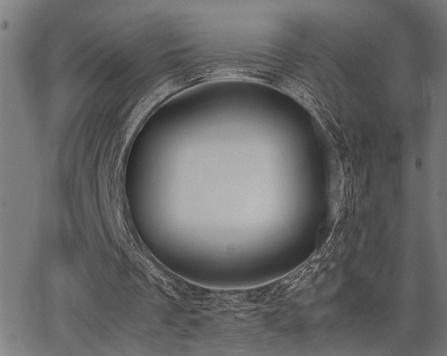 X0000062850289200601131357