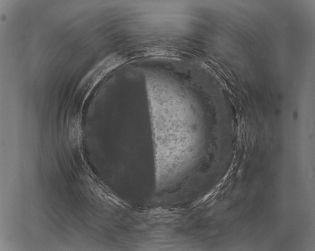 X0000062850290200601131357