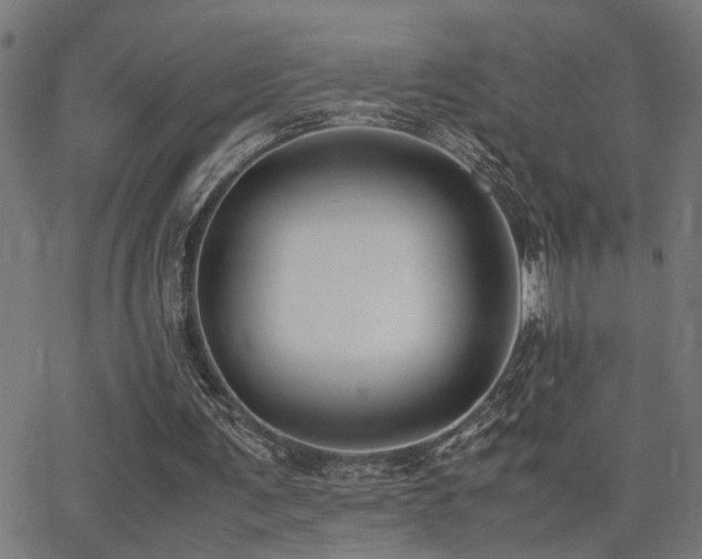 X0000062850291200601131357