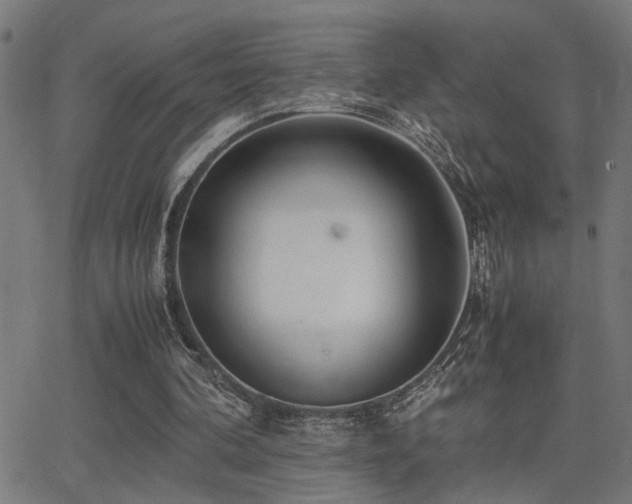 X0000062850292200601131357