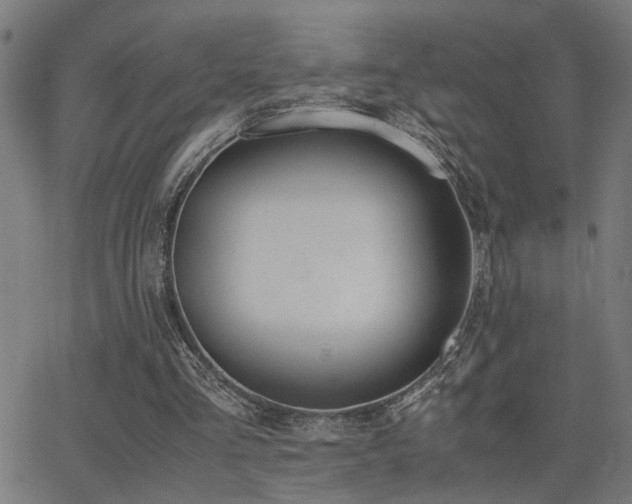 X0000062850293200601131357