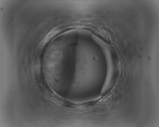 X0000062850295200601131357