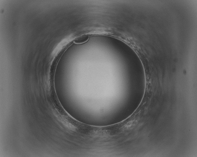 X0000062850296200601131357