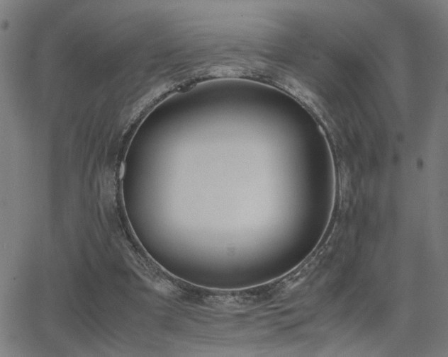 X0000062850297200601131357