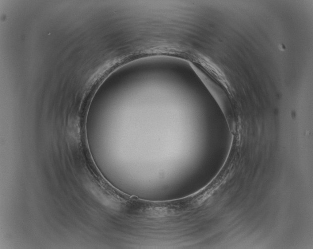 X0000062850298200601131357