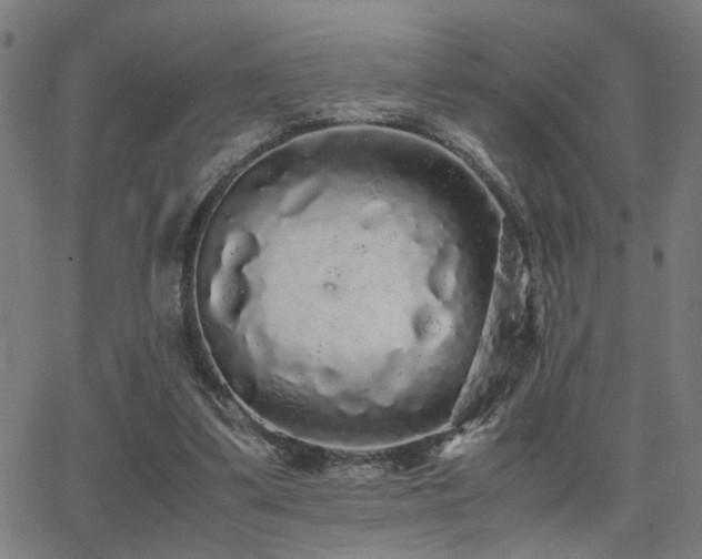 X0000062850299200601131357